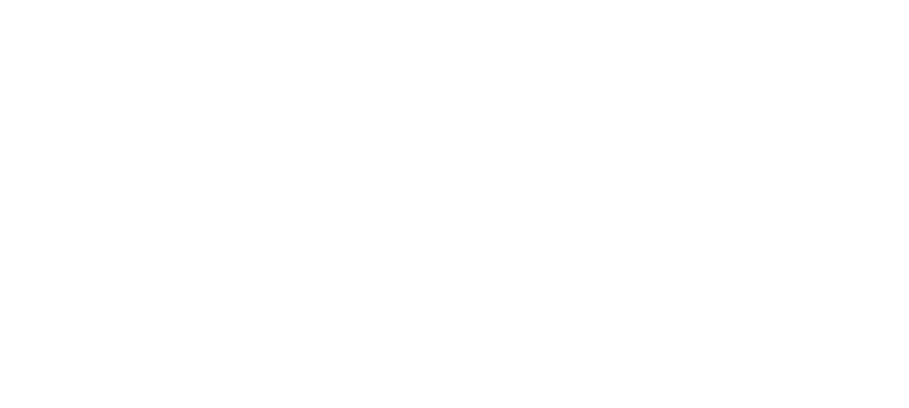 Something Blue Book
